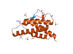 2b8y: Crystal structure of the interleukin-4 variant T13DF82D