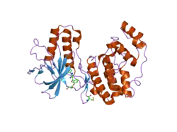 2baq: P38alpha bound to Ro3201195