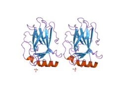 2bim: HUMAN P53 CORE DOMAIN MUTANT M133L-V203A-N239Y-N268D-R273H