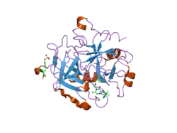 2bxu: DESIGN AND DISCOVERY OF NOVEL, POTENT THROMBIN INHIBITORS WITH A SOLUBILIZING CATIONIC P1-P2-LINKER