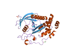 2bzl: CRYSTAL STRUCTURE OF THE HUMAN PROTEIN TYROSINE PHOSPHATASE N14 AT 1.65 A RESOLUTION