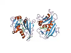 2c2s: HUMAN DIHYDROFOLATE REDUCTASE COMPLEXED WITH NADPH AND 2,4-DIAMINO-5-(1-O-CARBORANYLMETHYL)-6-METHYLPYRIMIDINE, A NOVEL BORON CONTAINING, NONCLASSICAL ANTIFOLATE