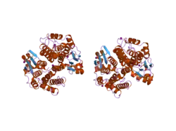 2c3n: HUMAN GLUTATHIONE-S-TRANSFERASE T1-1, APO FORM