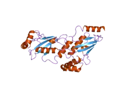 2c4p: CRYSTAL STRUCTURE OF HUMAN UBIQUITIN-CONJUGATING ENZYME UBCH5A