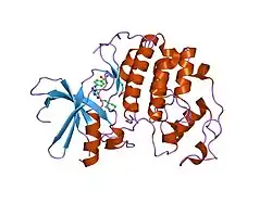 2c6i: CRYSTAL STRUCTURE OF THE HUMAN CDK2 COMPLEXED WITH THE TRIAZOLOPYRIMIDINE INHIBITOR
