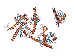 2c7n: HUMAN RABEX-5 RESIDUES 1-74 IN COMPLEX WITH UBIQUITIN