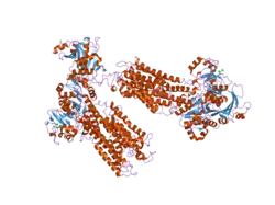 2c9m: STRUCTURE OF (SR) CALCIUM-ATPASE IN THE CA2E1 STATE SOLVED IN A P1 CRYSTAL FORM.