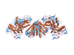 2cfy: CRYSTAL STRUCTURE OF HUMAN THIOREDOXIN REDUCTASE 1