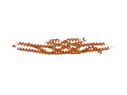 2d1l: Structure of F-actin binding domain IMD of MIM (Missing In Metastasis)