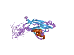 2d3j: NMR structure of the WIF domain from human WIF-1
