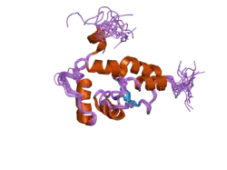 2d9l: Solution structure of the ArfGap domain of human RIP