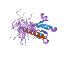 2d9x: Solution structure of the PH domain of Oxysterol binding protein-related protein 11 from human