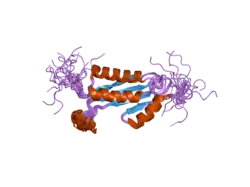 2dmf: An extended conformation of the RWD domain of human Ring finger protein 25