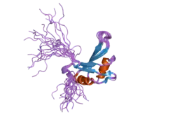 2dng: Solution structure of RNA binding domain in Eukaryotic translation initiation factor 4H