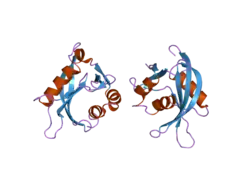 2duk: Crystal structure of MS0616