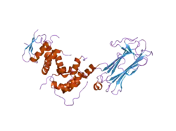 2e31: Structural basis for selection of glycosylated substrate by SCFFbs1 ubiquitin ligase