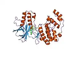 2ewa: Dual binding mode of pyridinylimidazole to MAP kinase p38