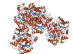2f1o: Crystal Structure of NQO1 with Dicoumarol
