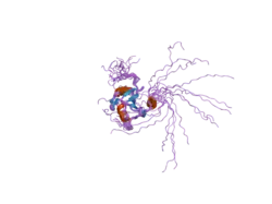 2fho: NMR solution structure of the human spliceosomal protein complex p14-SF3b155