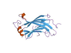 2foj: The crystal structure of the N-terminal domain of HAUSP/USP7 complexed with p53 peptide 364-367