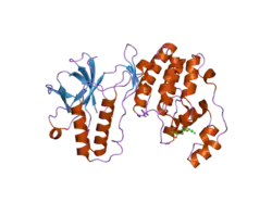 2fsl: Mitogen activated protein kinase p38alpha (D176A+F327S) activating mutant form-A