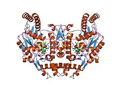 2g6i: Structure of rat nNOS heme domain (BH2-bound) in the reduced form