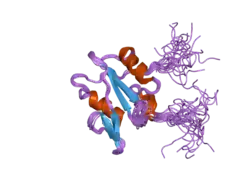 2gsb: Solution structure of the second SH2 domain of human Ras GTPase-activating protein 1