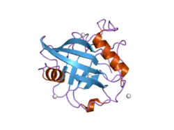 2gw2: Crystal structure of the peptidyl-prolyl isomerase domain of human cyclophilin G