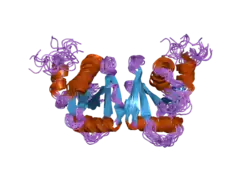 2gw6: NMR structure of the human tRNA endonuclease SEN15 subunit