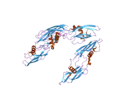 2gyr: Crystal structure of human artemin