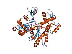 2hf3: Crystal structure of monomeric Actin in the ADP bound state