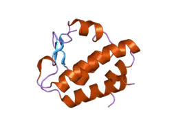2hpl: Crystal structure of the mouse p97/PNGase complex