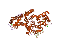 2hyu: Human Annexin A2 with heparin tetrasaccharide bound