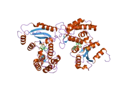 2i65: Structural Basis for the Mechanistic Understanding Human CD38 Controlled Multiple Catalysis