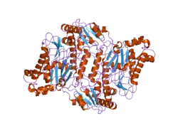 2iw2: Crystal Structure Of Human Prolidase
