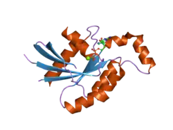 2j1l: CRYSTAL STRUCTURE OF HUMAN RHO-RELATED GTP-BINDING PROTEIN RHOD