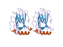2j1z: HUMAN P53 CORE DOMAIN MUTANT M133L-V203A-N239Y-N268D-F270L