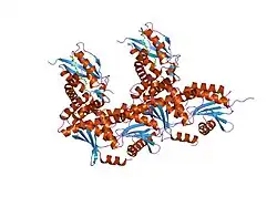 2j3w: THE CRYSTAL STRUCTURE OF THE BET3-TRS31-SEDLIN COMPLEX.