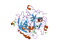 2jh5: HUMAN THROMBIN HIRUGEN INHIBITOR COMPLEX.