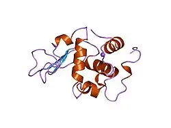 2meb: CHANGES IN CONFORMATIONAL STABILITY OF A SERIES OF MUTANT HUMAN LYSOZYMES AT CONSTANT POSITIONS