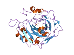 2nxs: Structural and kinetic effects of hydrophobic mutations in the active site of human carbonic anhydrase II