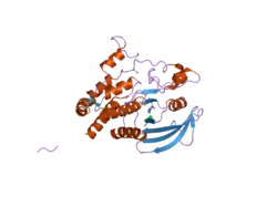2nz6: Crystal structure of the PTPRJ inactivating mutant C1239S