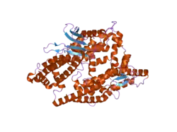 2o36: Crystal structure of engineered thimet oligopeptidase with neurolysin specificity in neurotensin cleavage site
