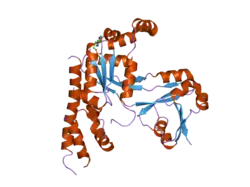 2ohf: Crystal structure of human OLA1 in complex with AMPPCP