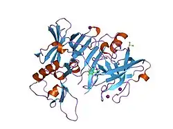 2ohk: X-ray crystal structure of beta secretase complexed with 1-amino-isoquinoline