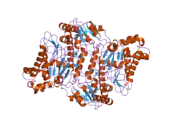 2okn: Crystal Structure of Human Prolidase