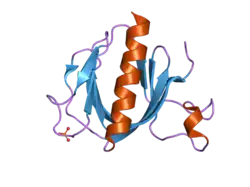 2p0f: ArhGAP9 PH domain in complex with Ins(1,3,5)P3