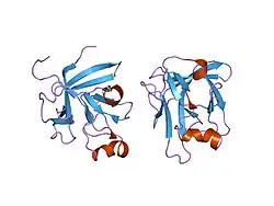 2p23: Crystal structure of human FGF19
