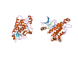 2p4i: Evolution of a highly Selective and Potent 2-(Pyridin-2-yl)-1,3,5-triazine Tie-2 Kinase Inhibitor