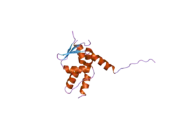 2ppi: Structure of the BTB (Tramtrack and Bric a brac) domain of human Gigaxonin